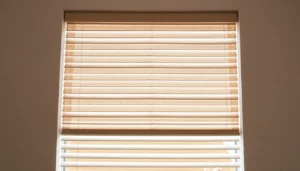 Premium rolety bydgoszcz installed in a stylish living room, showcasing modern fabric and design flexibility for privacy and light control.